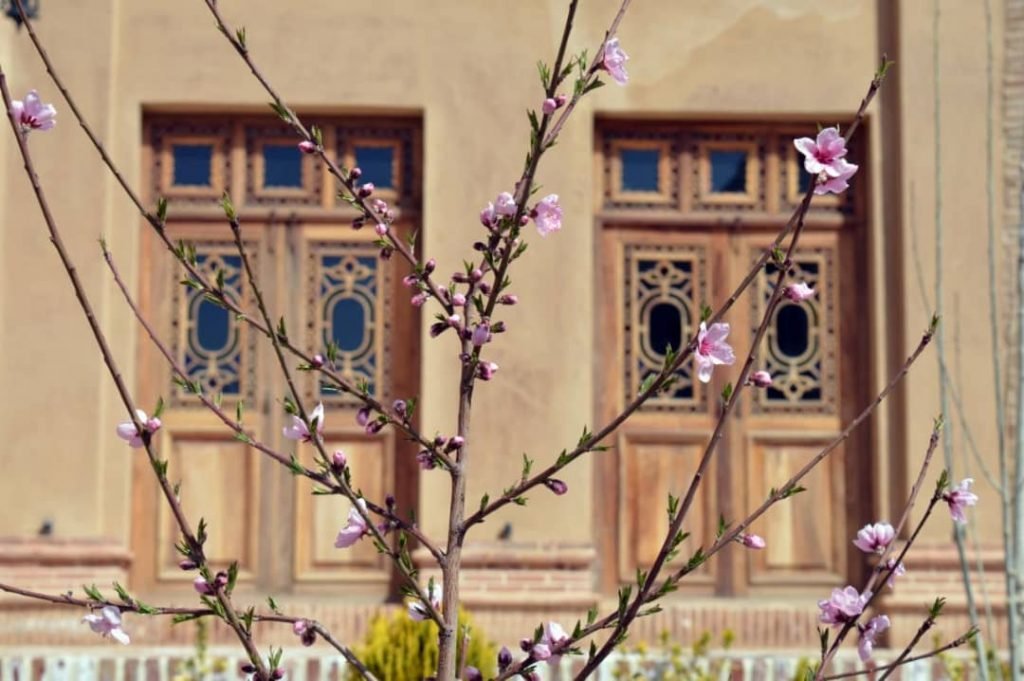 رویش شکوفه های بهاری در ارگ تاریخی میشیجان